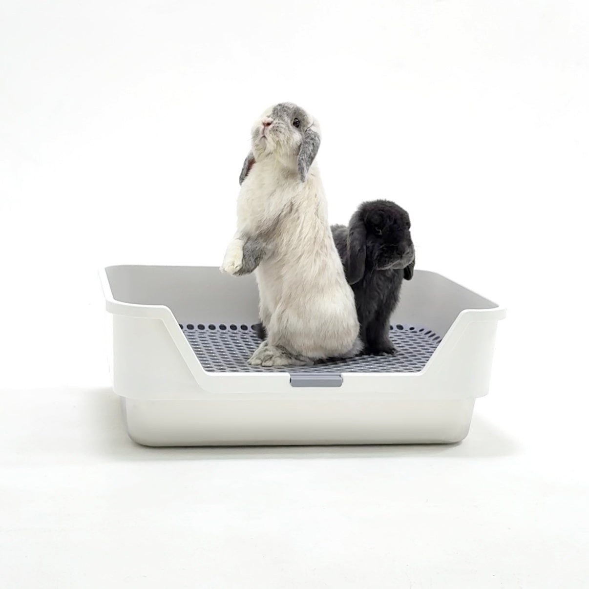 ROOLY Stainless Rabbit Litter Box (PRE-ORDER, SHIPS SEPTEMBER)