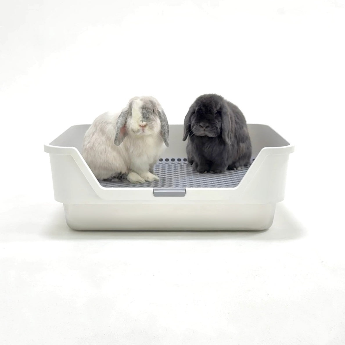 ROOLY Stainless Rabbit Litter Box (PRE-ORDER, SHIPS SEPTEMBER)