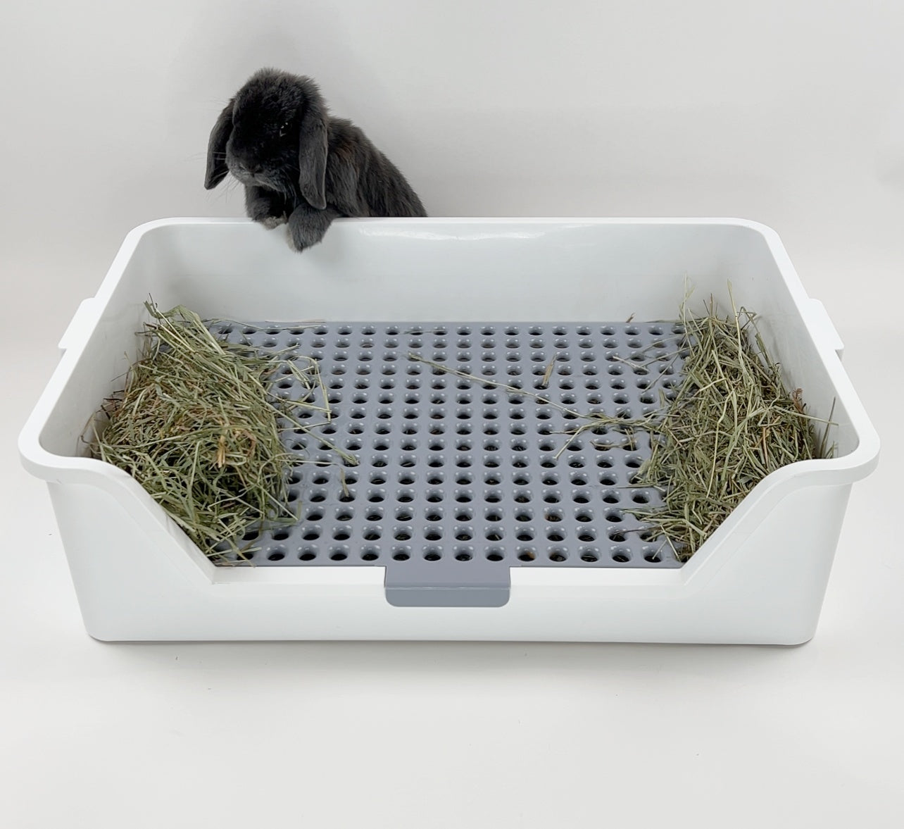 Bunny fashion potty box