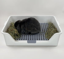 ROOLY XL Rabbit Litter Box rooly-xl-rabbit-litter-box