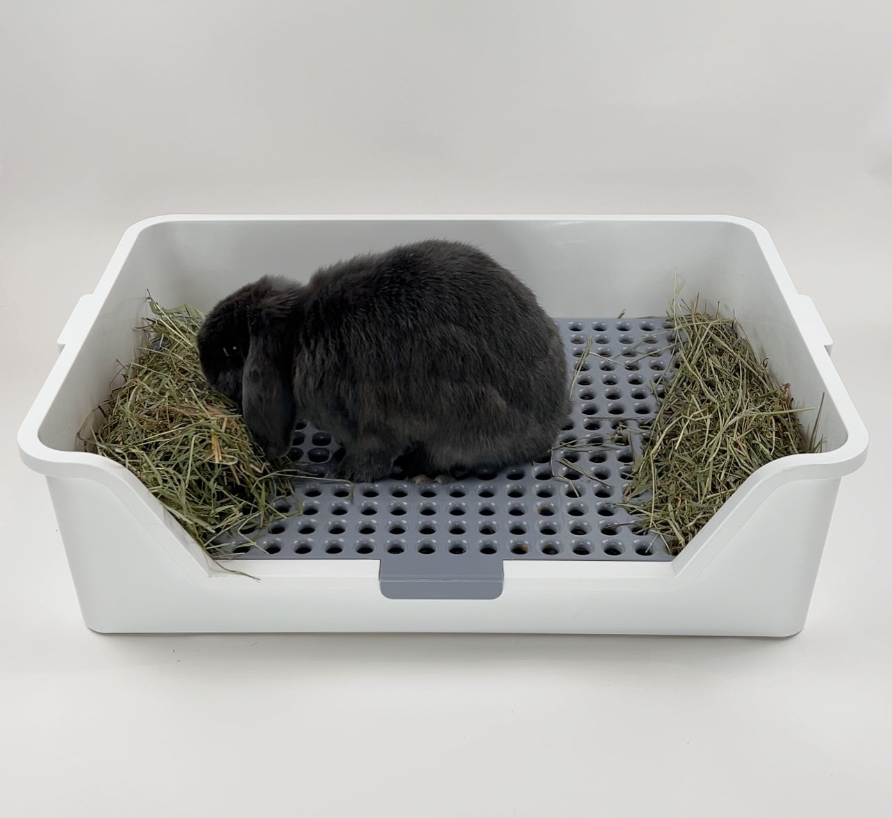 ROOLY - XL Rabbit Litter Box