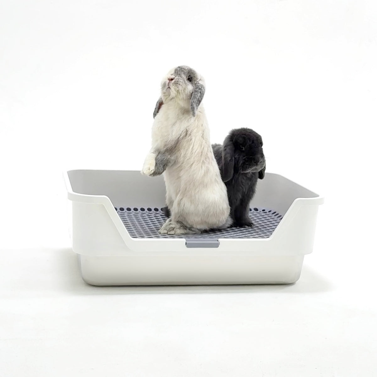 Poly Box Rabbit Model 8000 ROOLY Stainless Rabbit Litter Box
