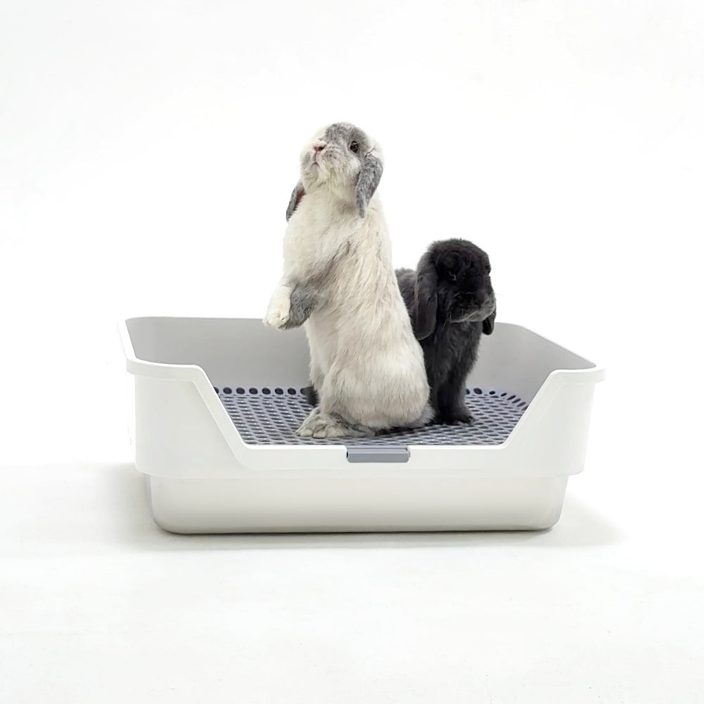ROOLY Stainless Rabbit Litter Box
