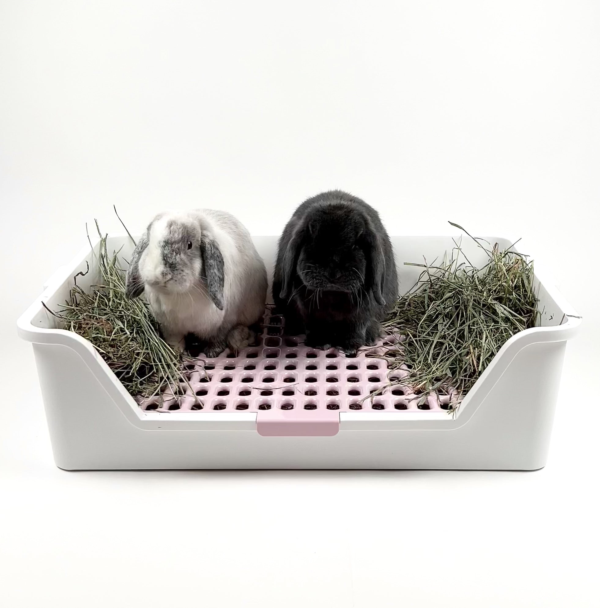 ROOLY XL Rabbit Litter Box