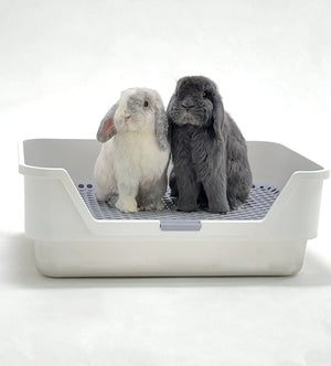 Solid Colored Rabbit Litter Large Rabbit Litter Box - Great for Two Rabbits and Large Breeds – ROOLY